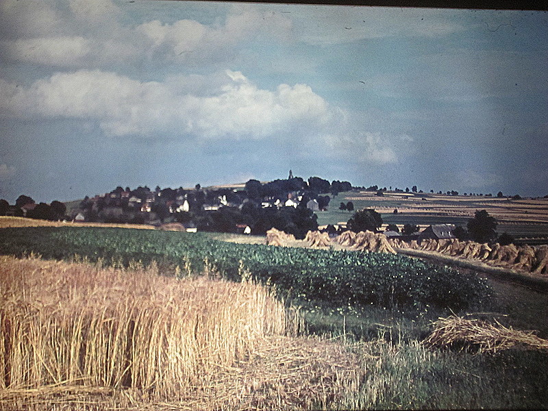 Ein Feld unterhalb von Landwüst mit den damals typischen Getreidegarben