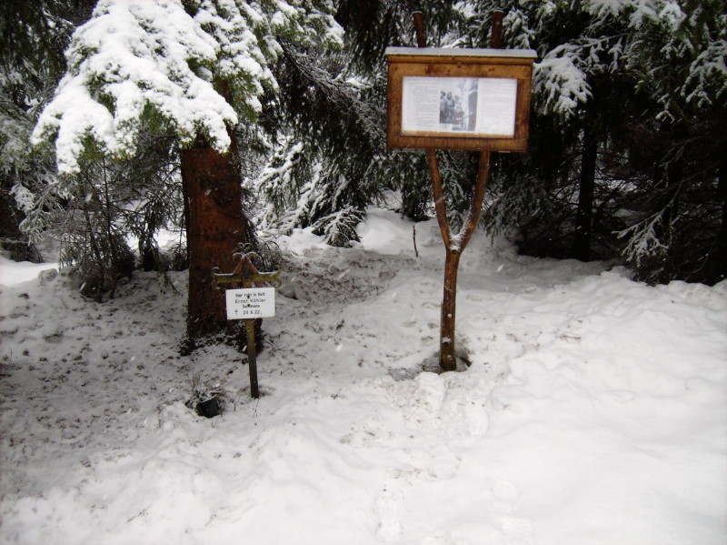 Das Grab im Wald am Grenzweg von Landwüst nach Wernitzgrün
